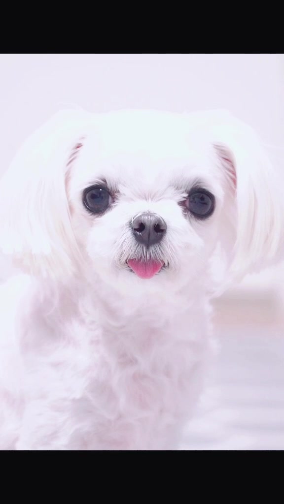 @๐์ธ์ธ์ฝ์ฝ_YouTube๐
