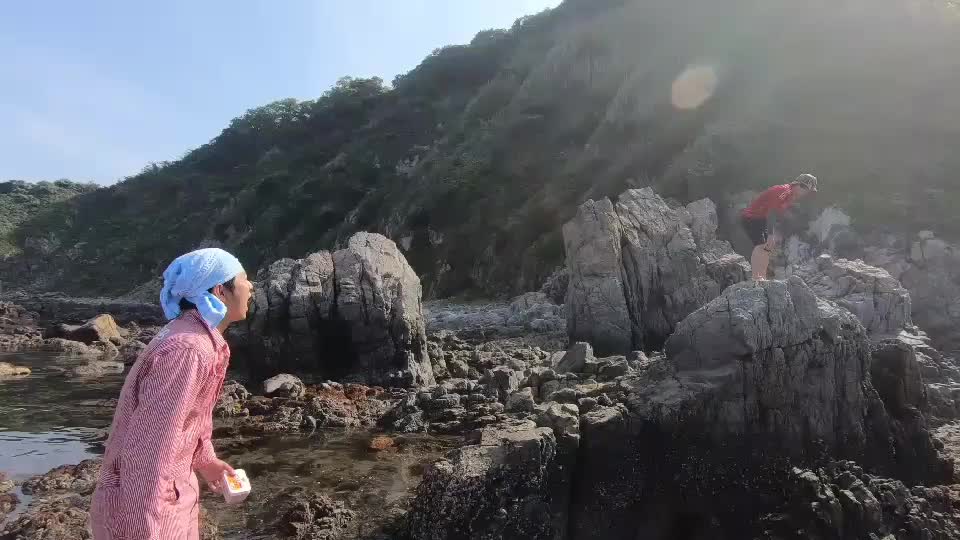 @デビルドラゴンズ