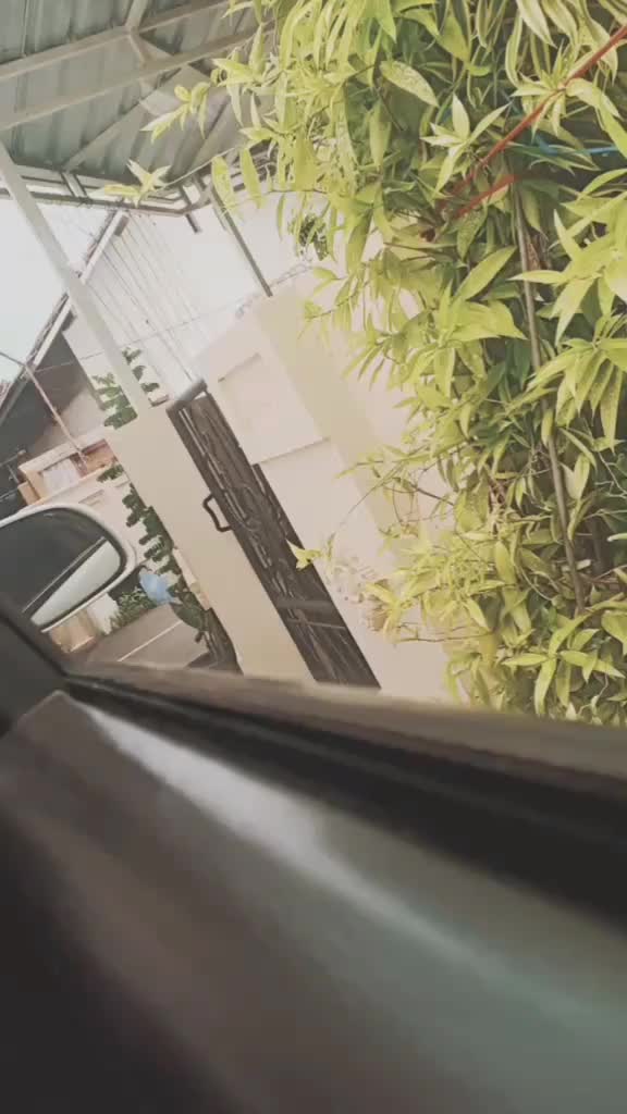 @nlzh._🥀