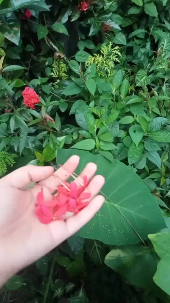 @yumi.21