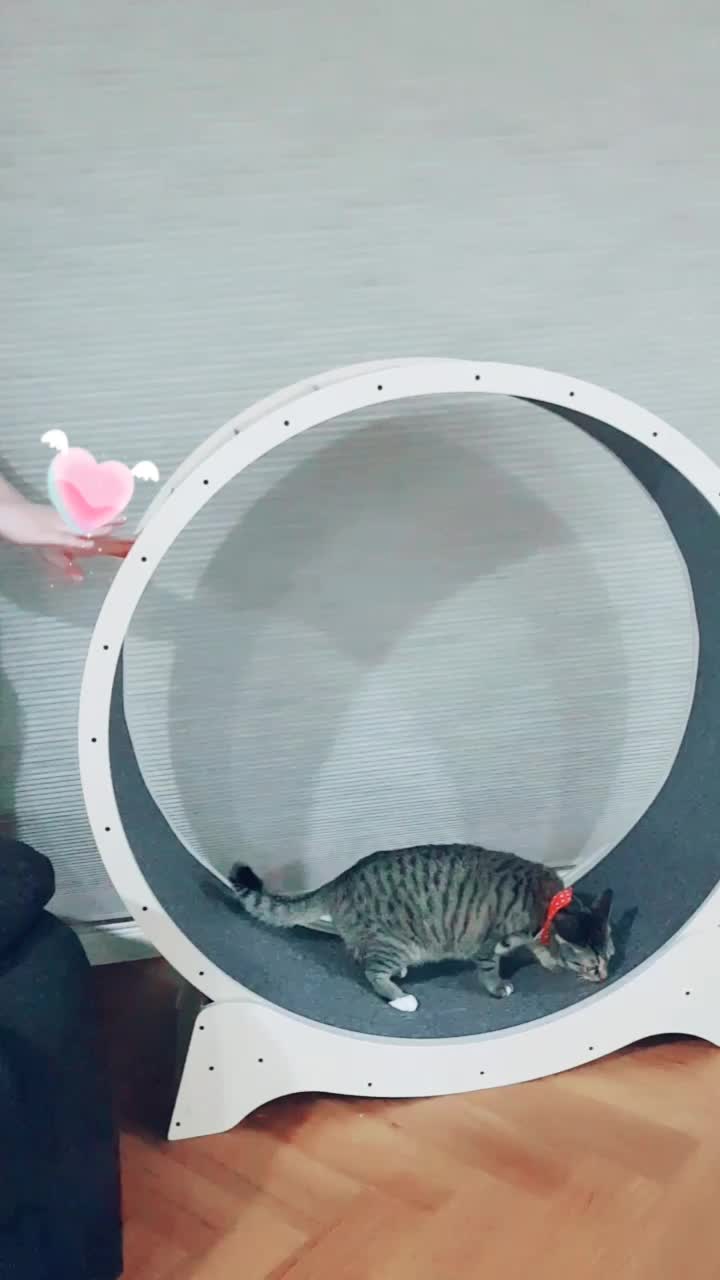 @만수루