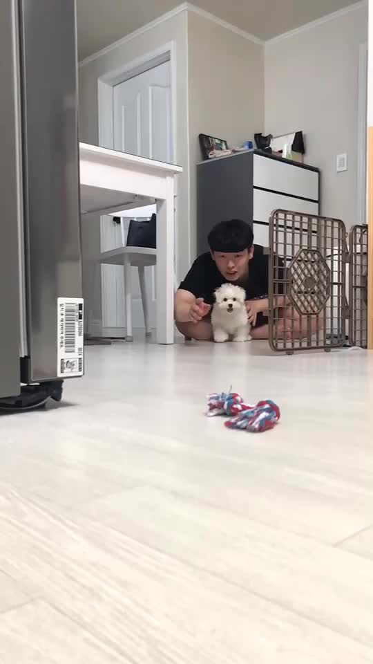 @땅콩율무의 견(犬)과류 이야기&hearts;