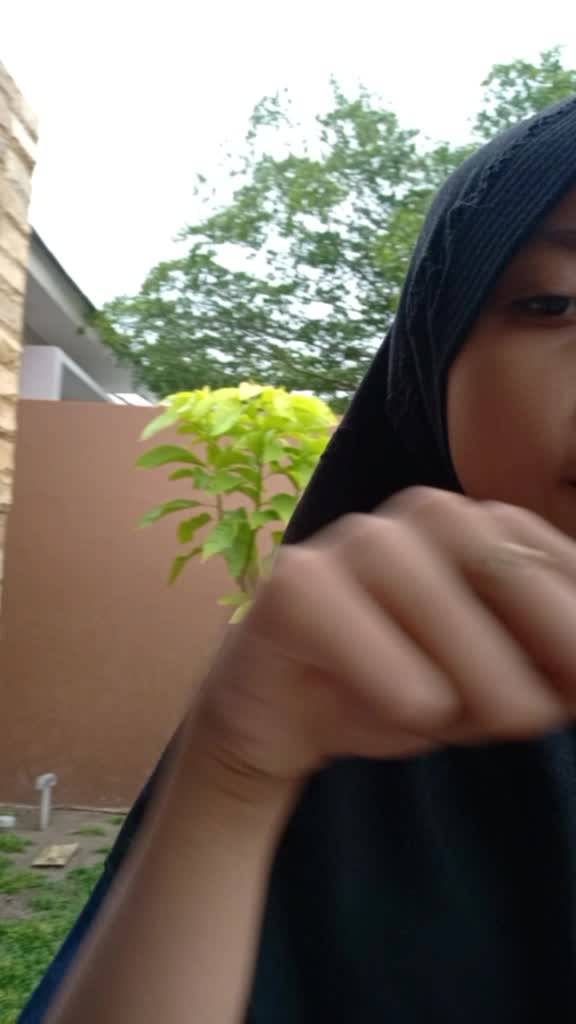 @nlzh._🥀
