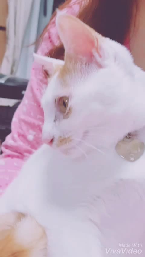 @이형균