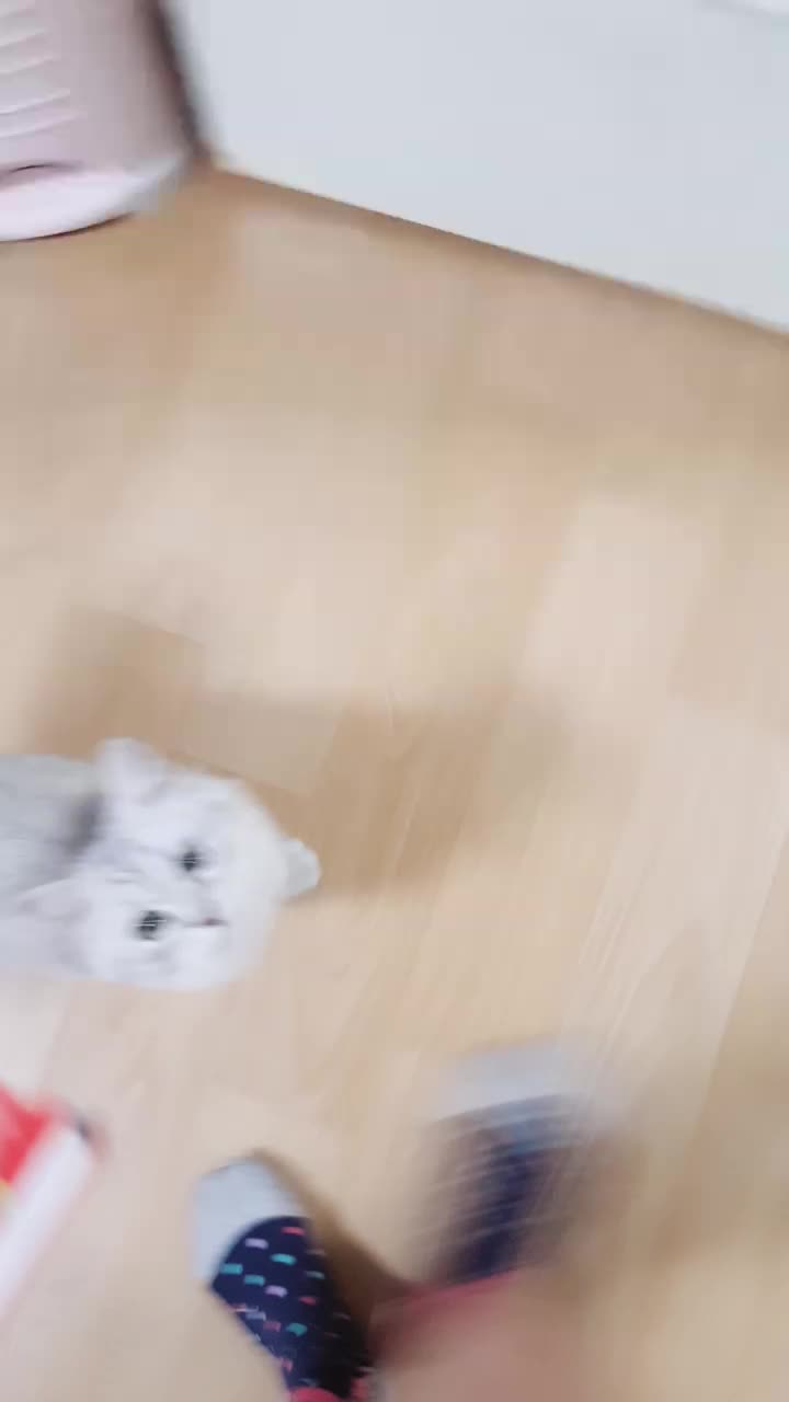 @ㅇㅅㅇ