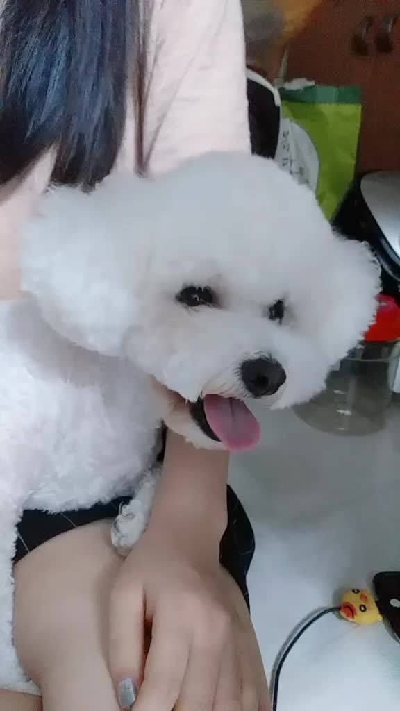@구월아 사랑햄♡