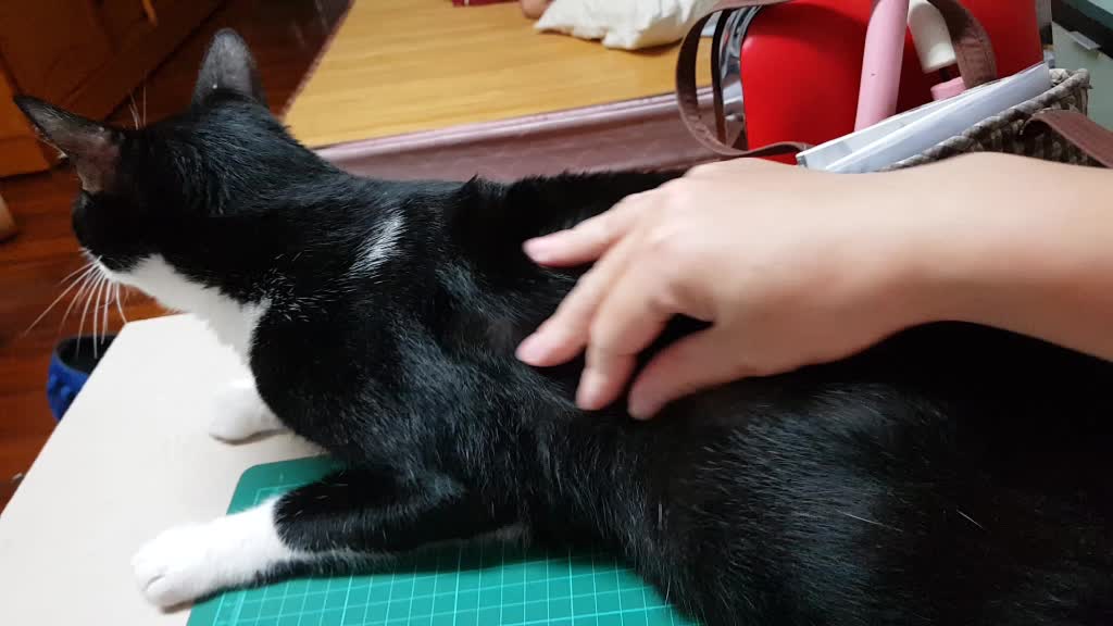 @方巧妃