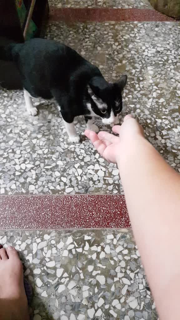 @方巧妃