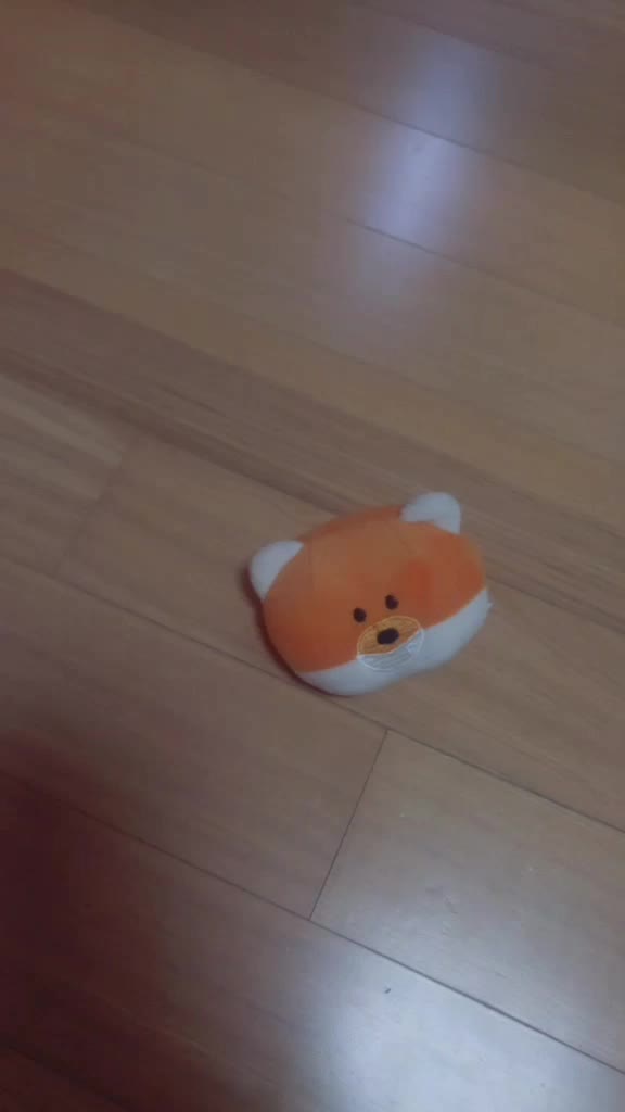 @화이트 초코