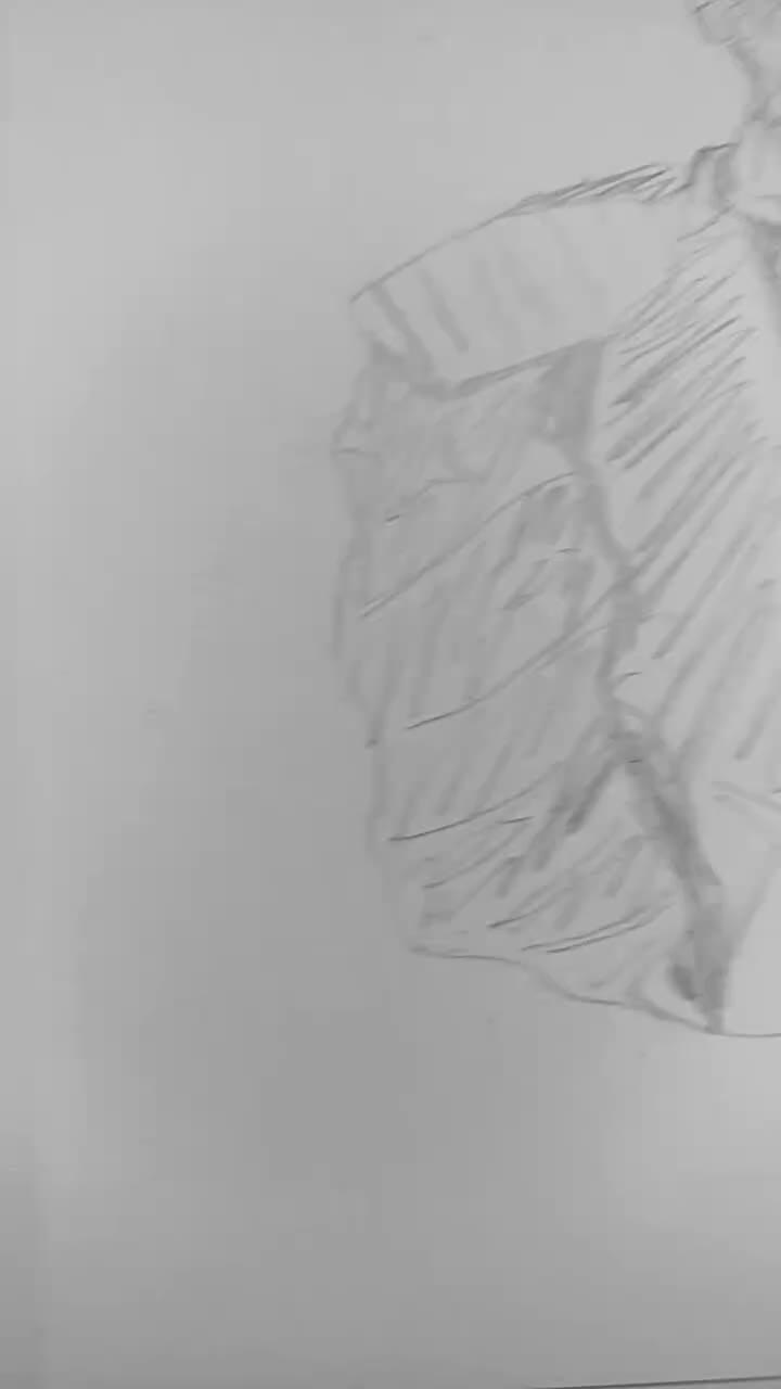 @✯✒︎『오뭉』