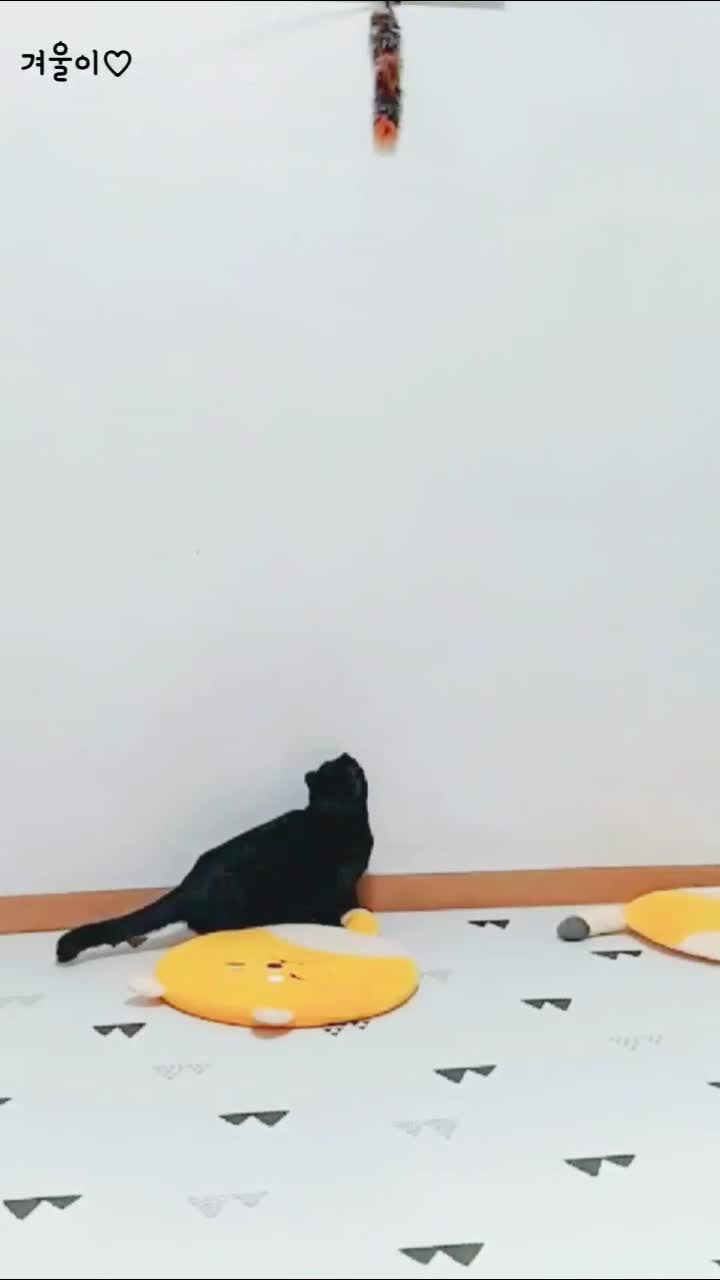@뽀미와여울이