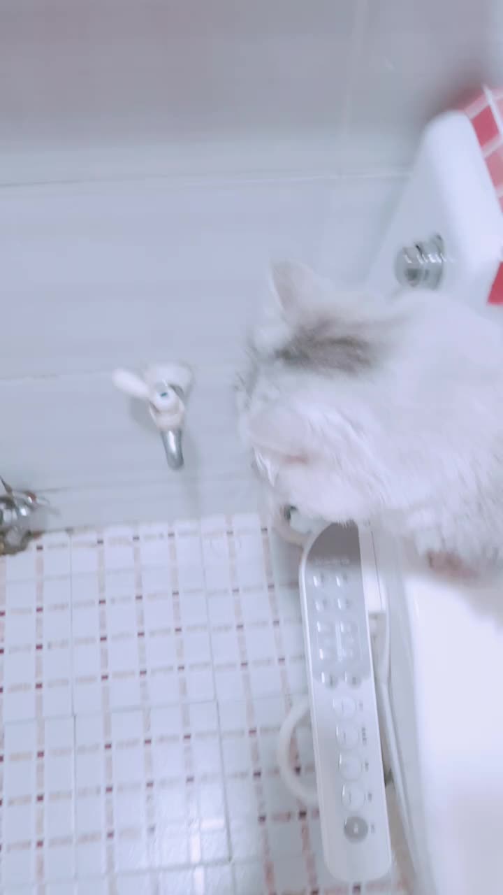 @ㅇㅅㅇ