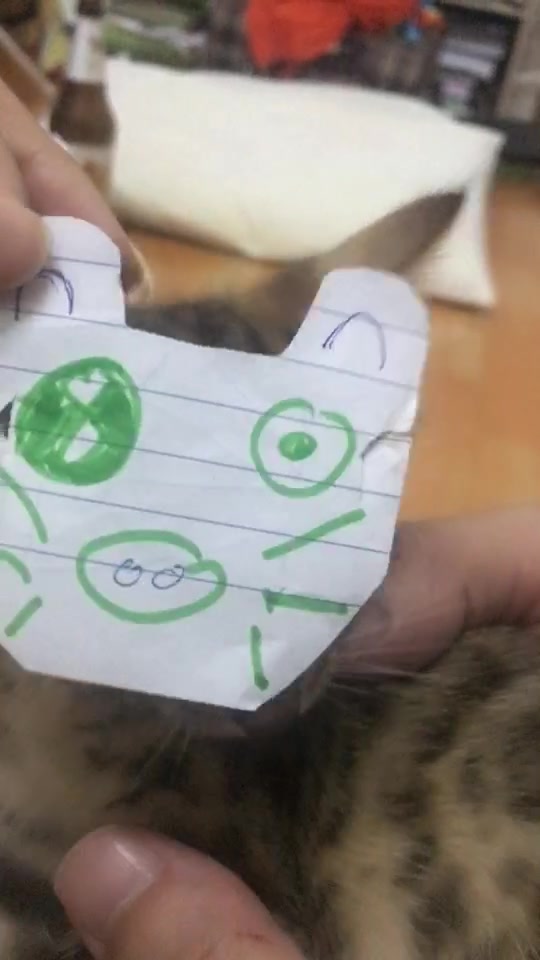 @layjudfamily🐾🐱