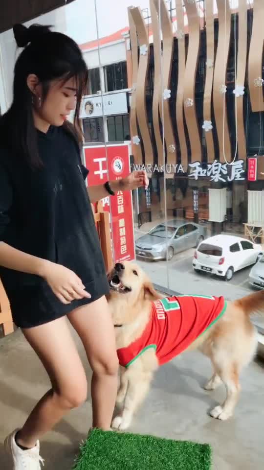 @Giminsng