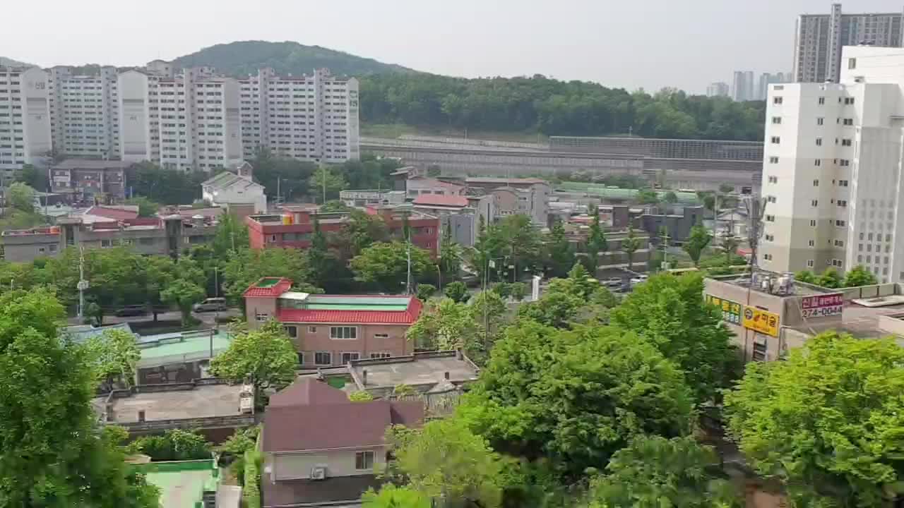 @유리나무