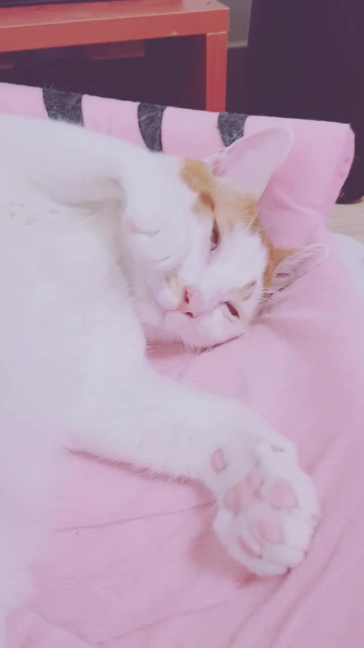 @이형균