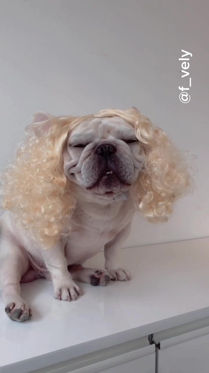 @프블리