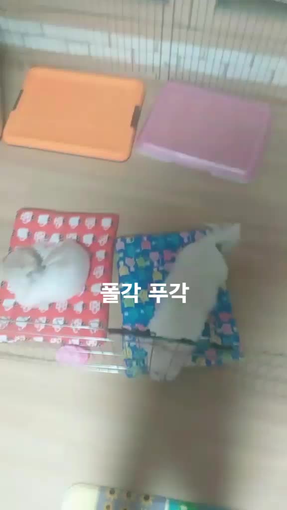 @큐튜버