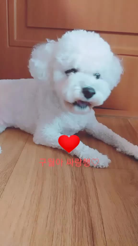 @구월아 사랑햄♡