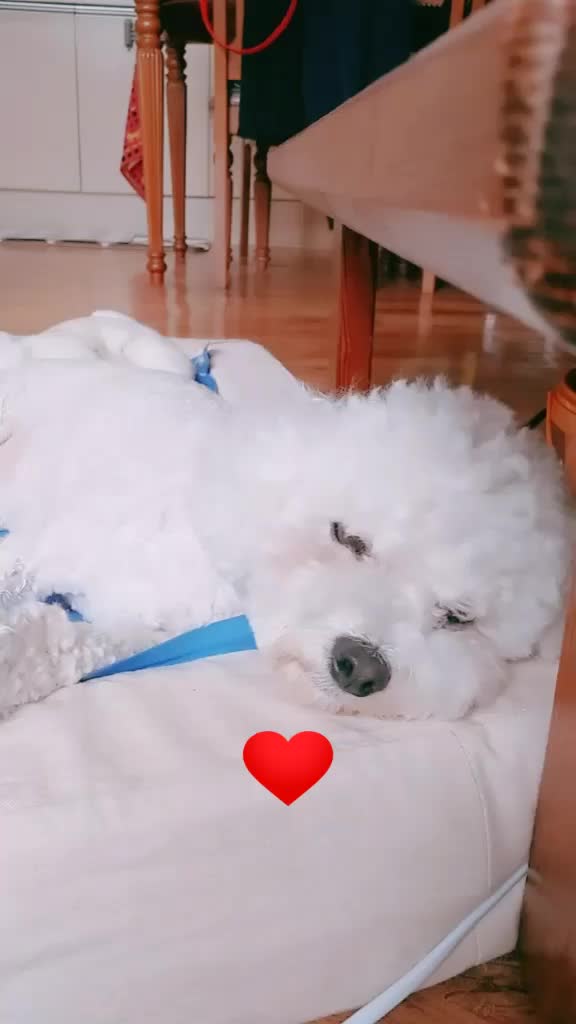 @구월아 사랑햄♡