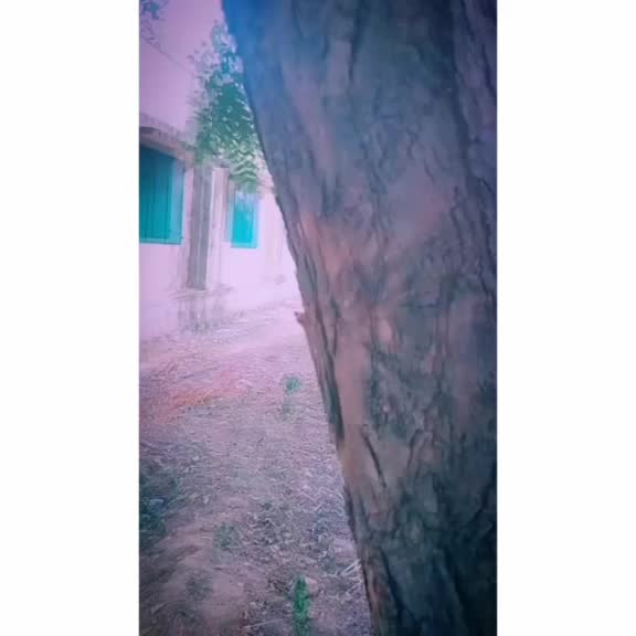 @❤Tamil❤