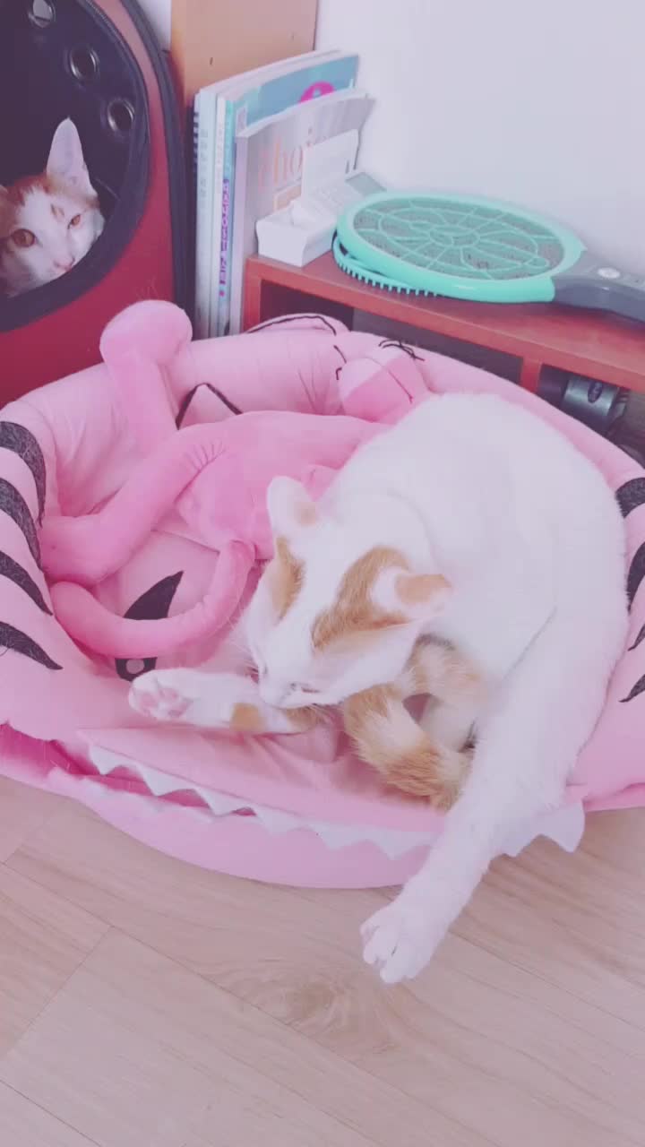 @이형균