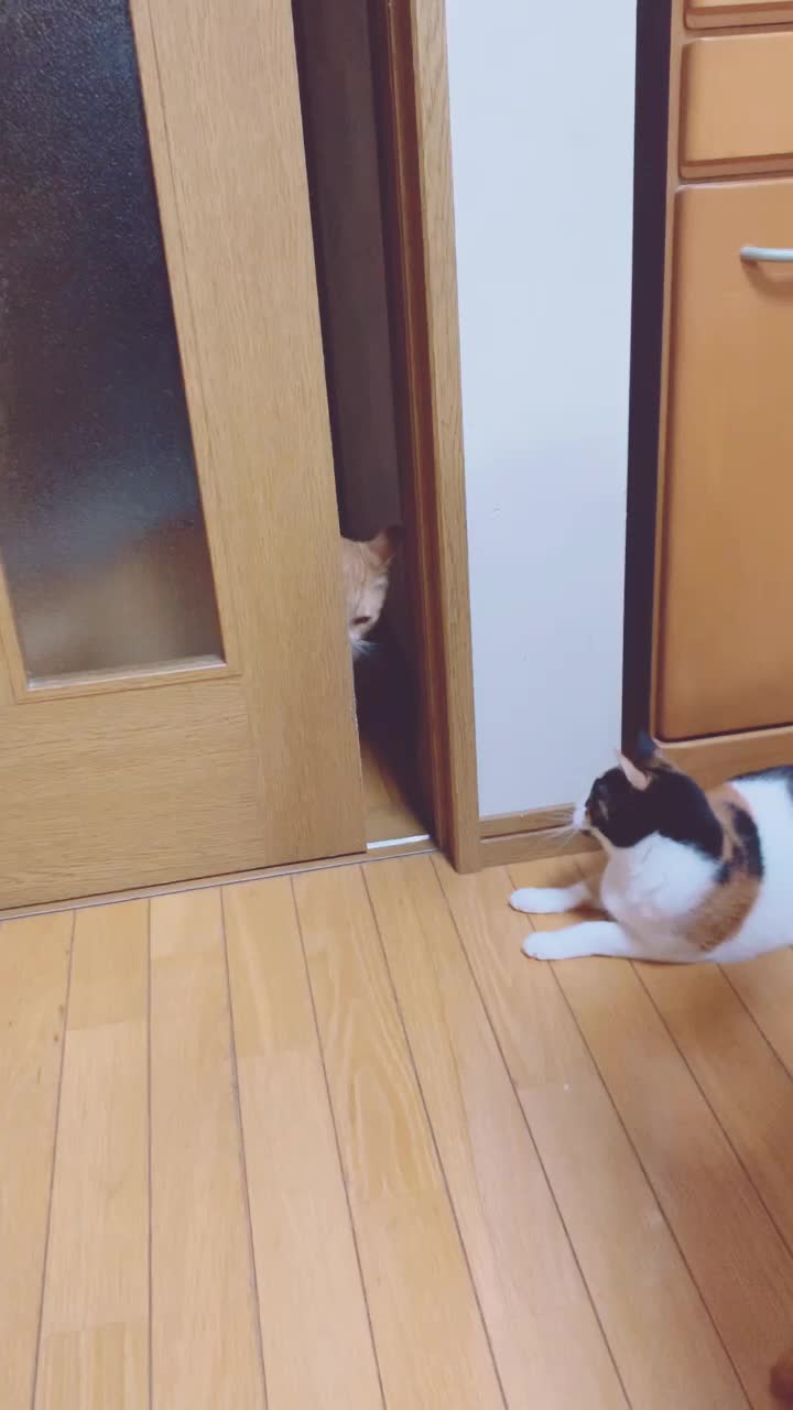 @ゆき