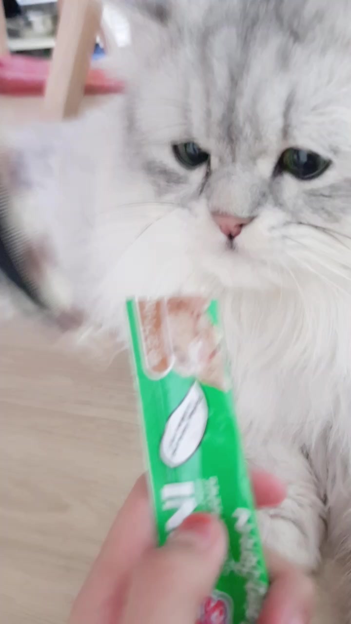 @ㅇㅅㅇ
