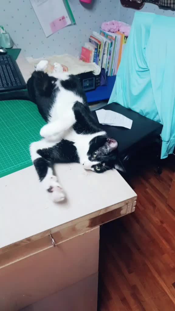@方巧妃
