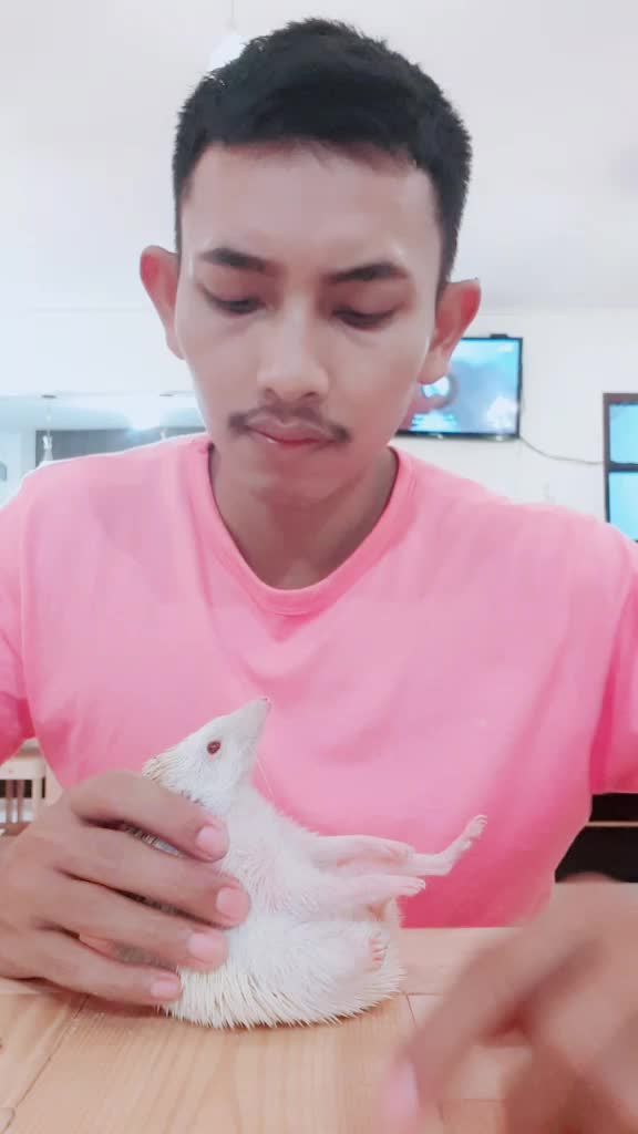 @damien_sajalah