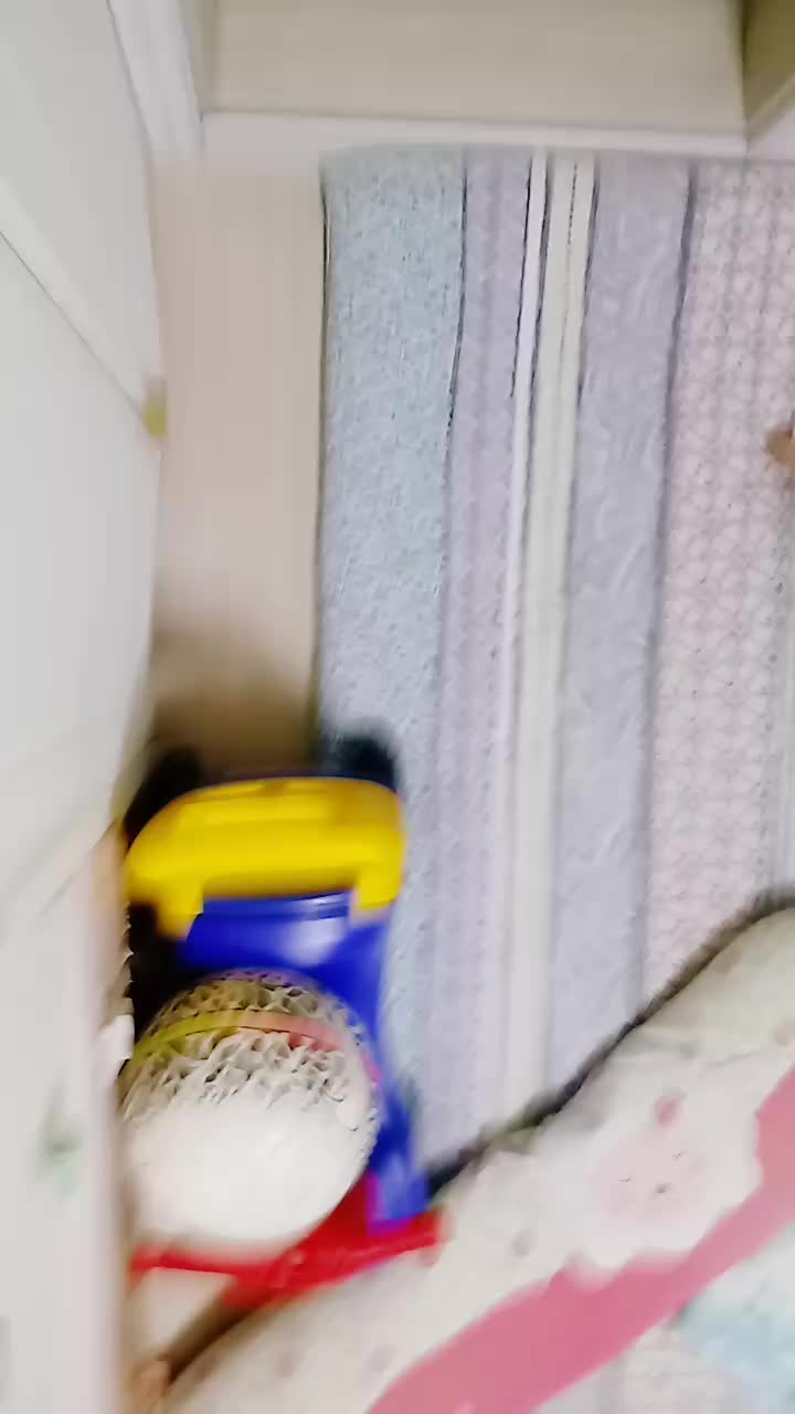 @홍장미