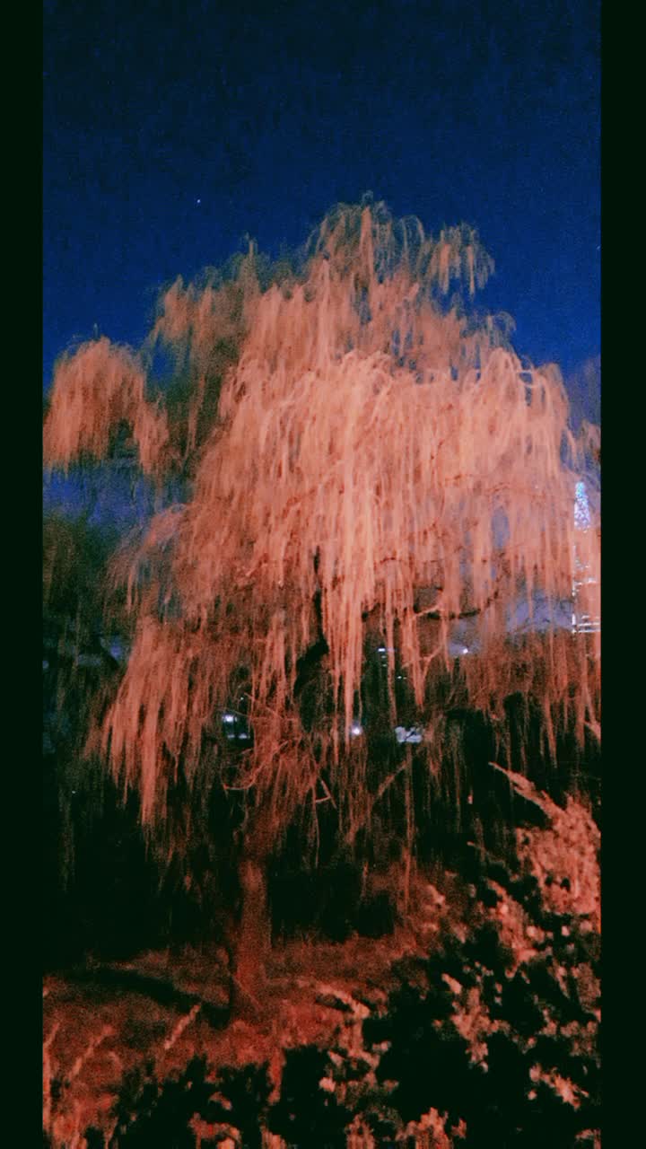 @쌤쌤TV