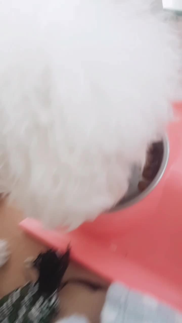 @🌟루피짱🌟