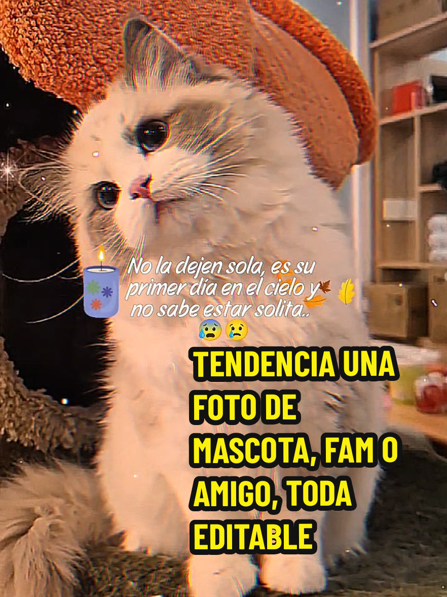 @efecto_eve