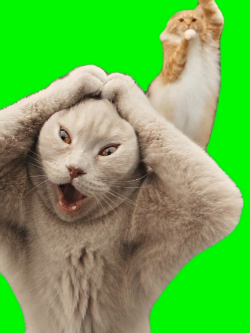 @GreenScreamMemes