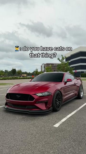 @nickbaerwolf