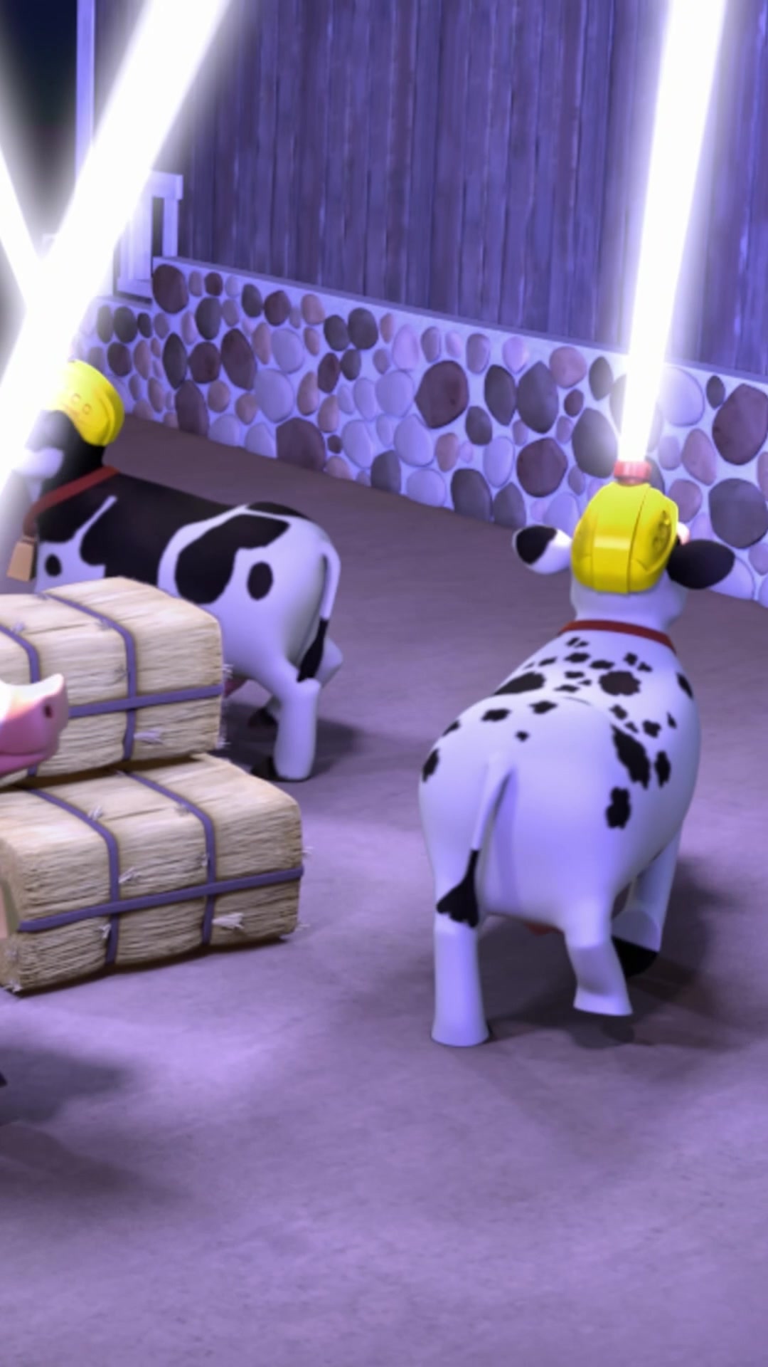 @pawpatrol