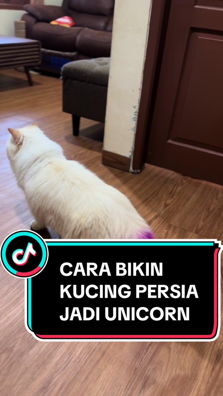 @keluargaboolat