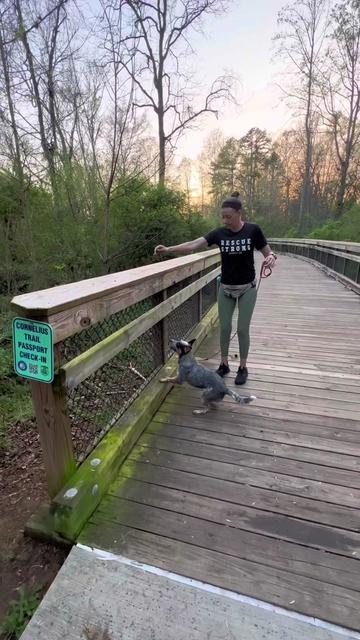 @thewoofpacknc