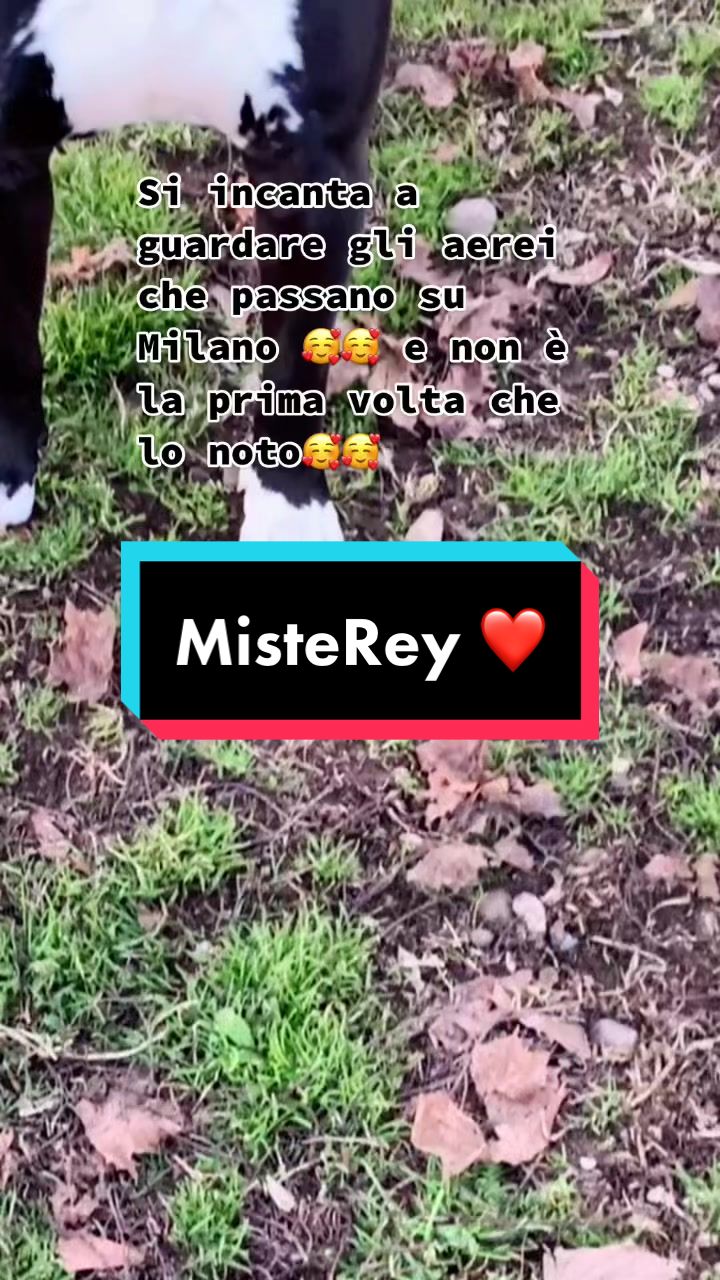 @❤️Roberta & Rey ❤️
