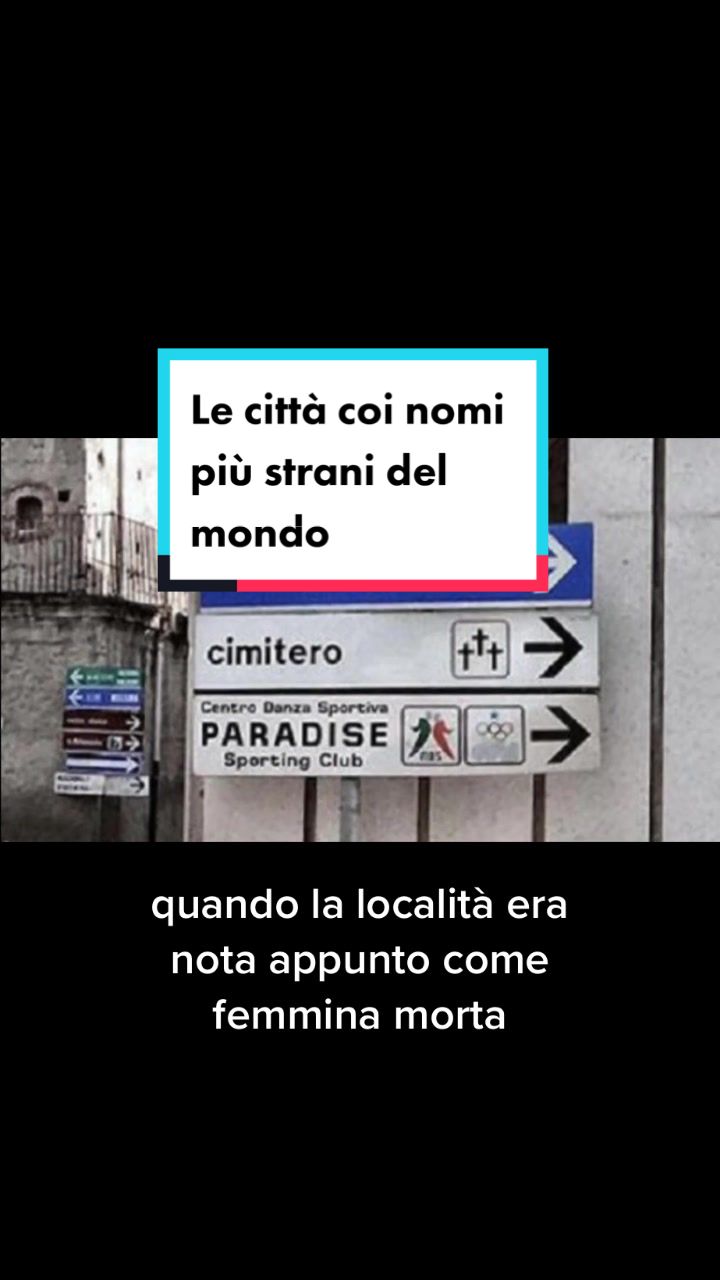 @Marco Tedeschi Lionspeech