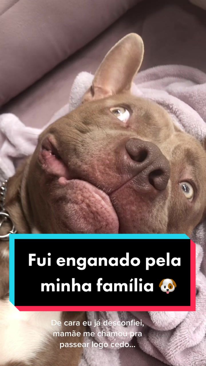 @tutoradobuda