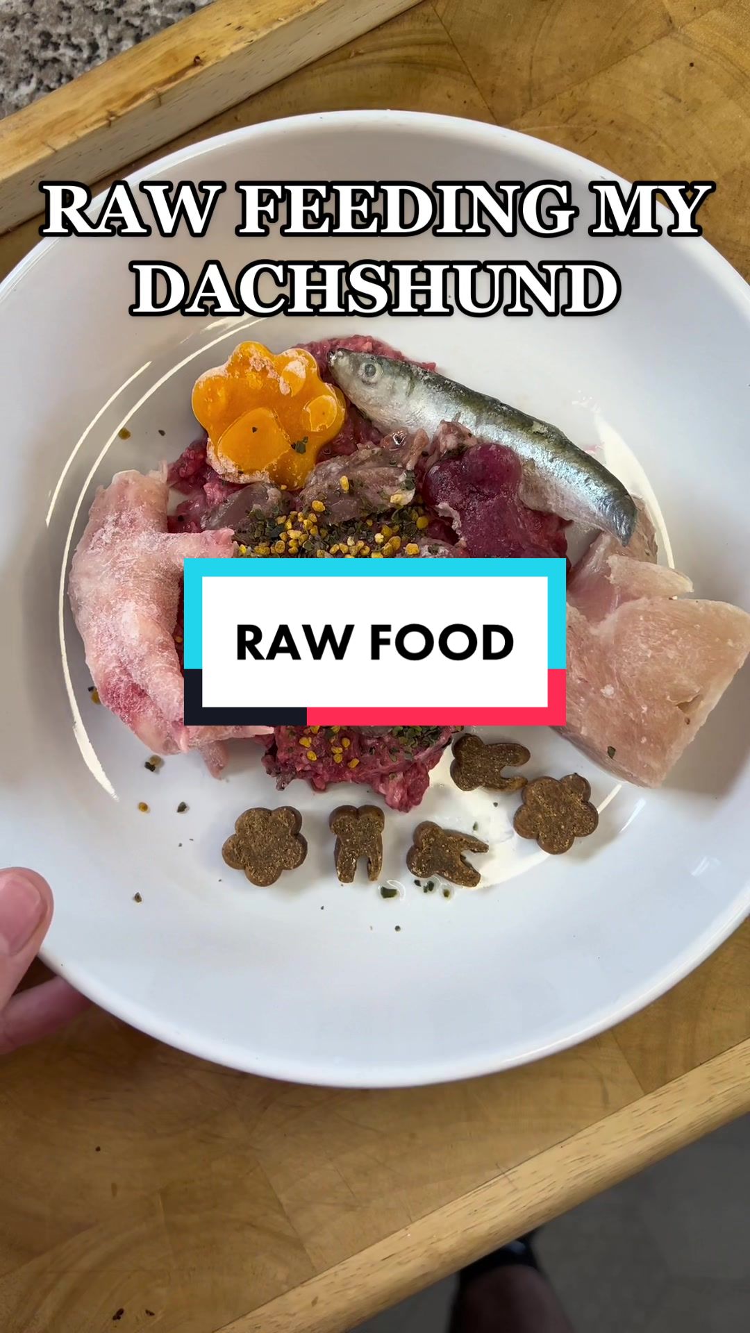 @rawfedASMR