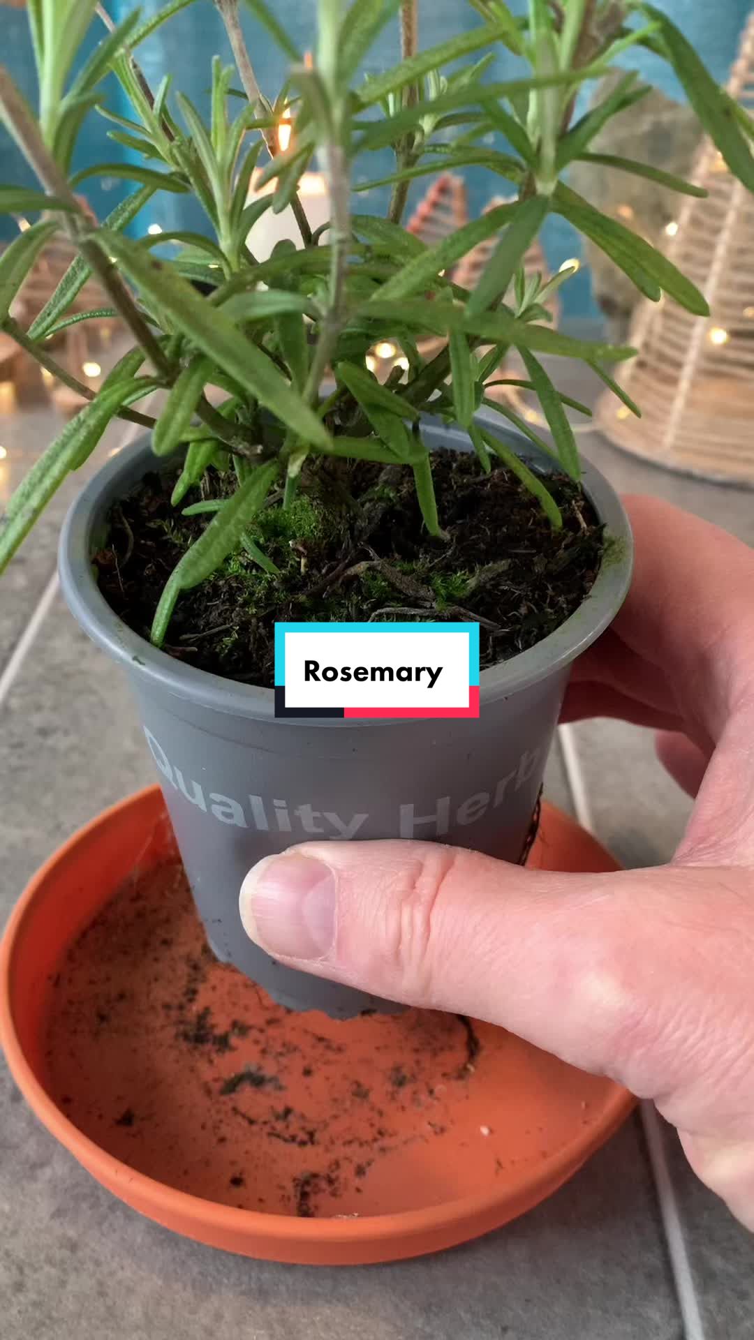 @Plant!U