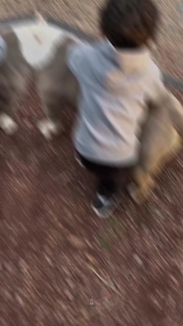 @FaunaFanatics