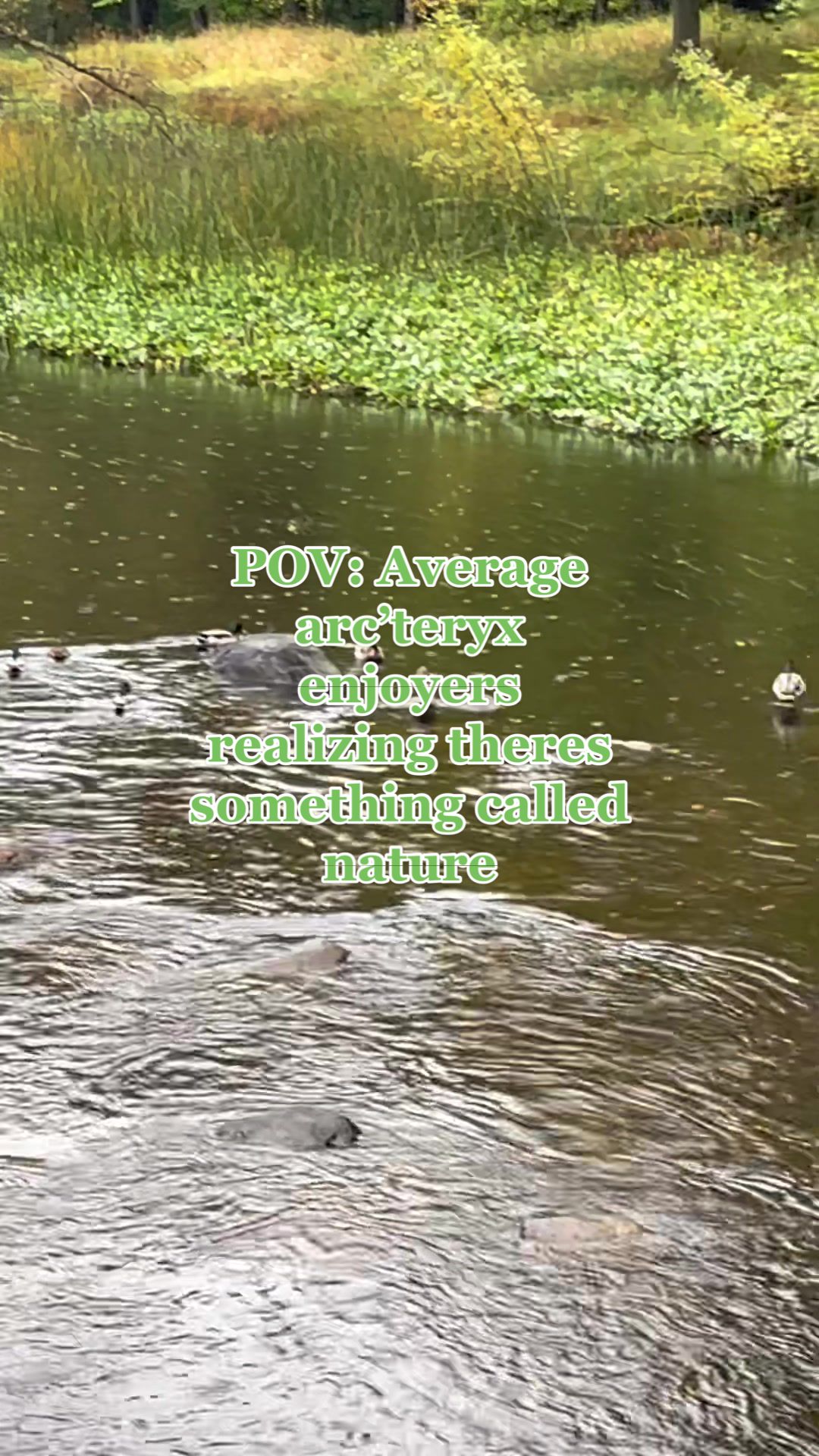 @FISHEYE_DEX