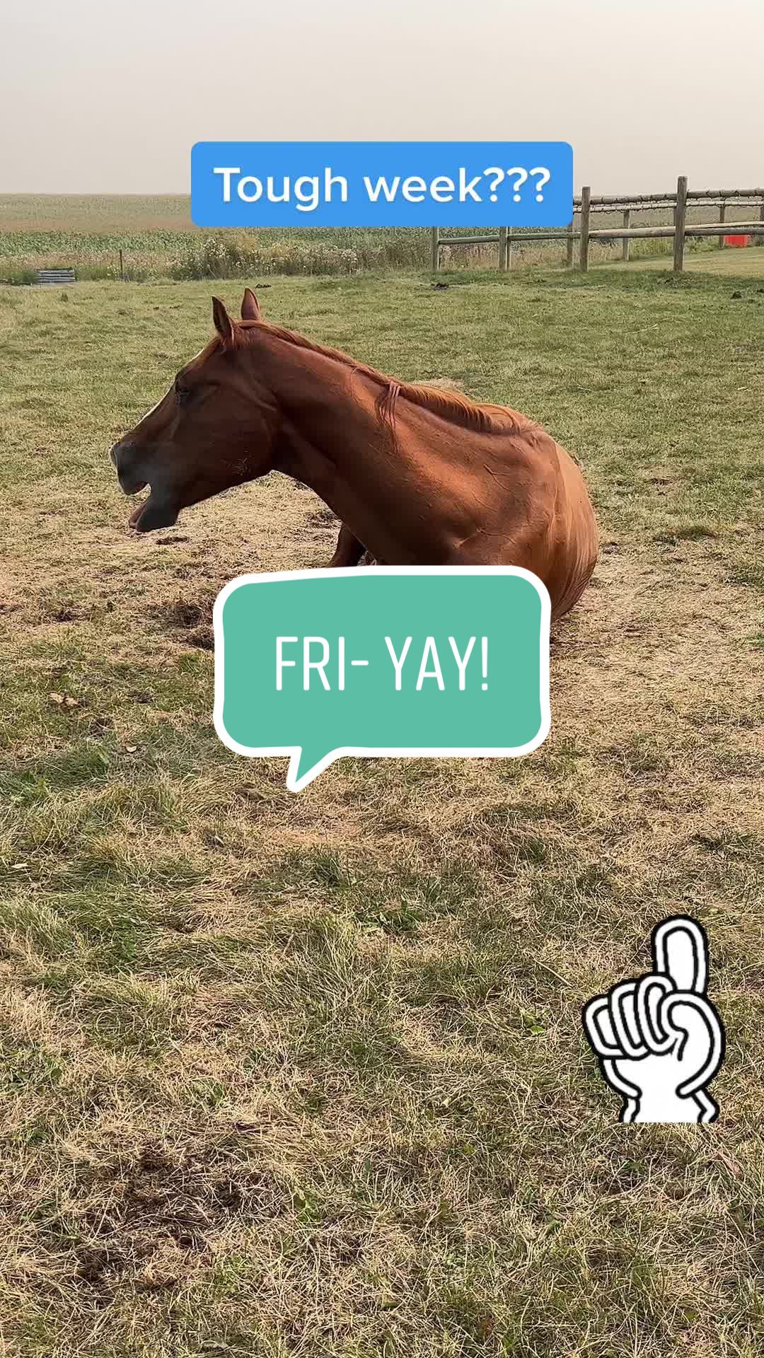 @Shari | Horses & Life Skills