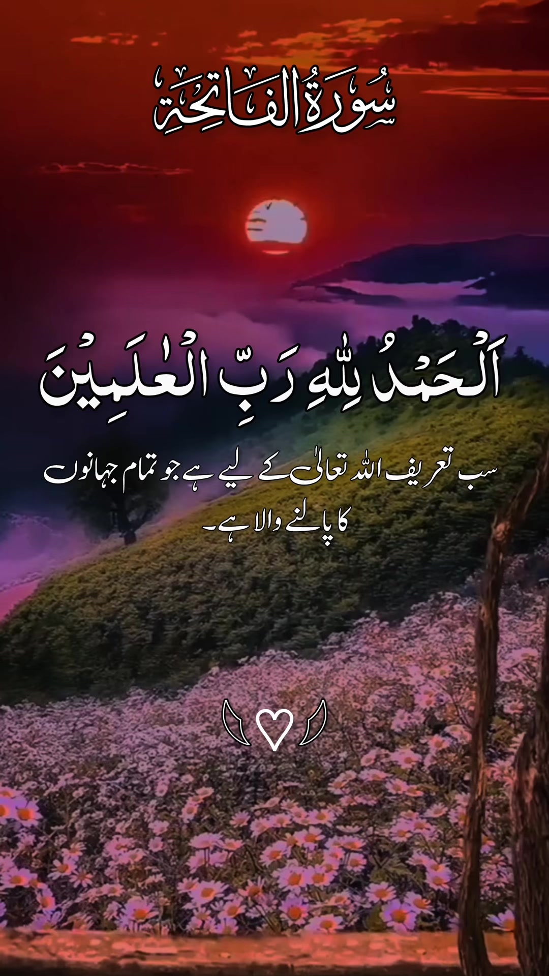@❣️ Words of Allah ❣️