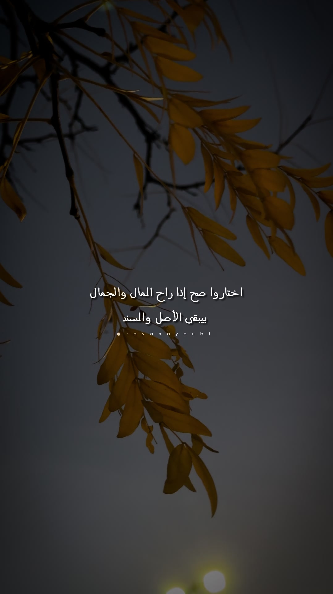 @Rayan El Ayoubi