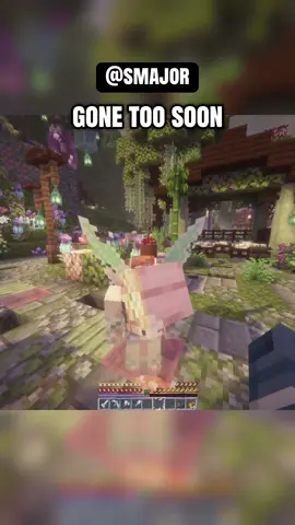 @Neon Bonsai